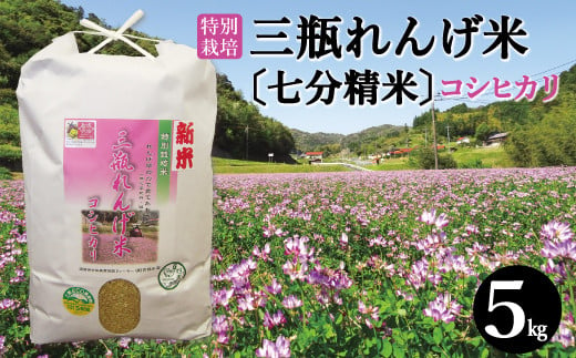 
〈七分精米〉特別栽培 三瓶れんげ米 コシヒカリ 5kg【令和6年産 先行予約 こしひかり お米 5kg 2024年産 特別栽培米 七分精米 1等米 無化学窒素肥料 減農薬米】
