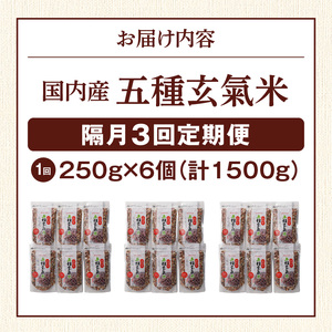 【隔月3回　定期便】国内産 五種玄氣米 250g×6個 1500g×3回_国内産 五種玄氣米 250g×6個 お届け回数 3回 玄米 ブレンド 雑穀米 もち赤米 うるち玄米 もち玄米 もち黒米 もち緑