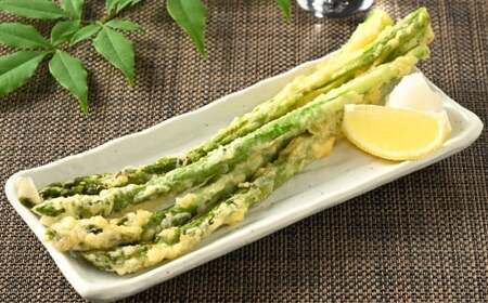 旬の朝どり新鮮アスパラガス 不揃いサイズ 合計2.0kg | J-2 ※2026年5月中旬頃より順次発送予定