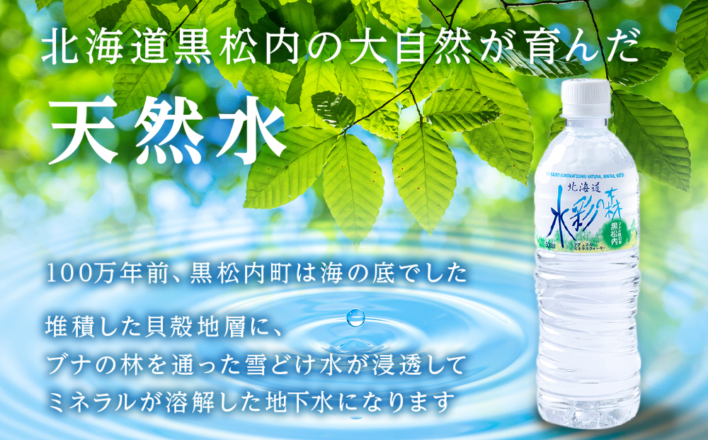 【定期便8カ月】黒松内銘水 水彩の森 500ml×24本（1箱）北海道 ミネラルウォーター 天然水 国産 国内 硬水 中硬水 ナチュラル ミネラル 天然水 アウトドア キャンプ 飲料水 防災 災害 備