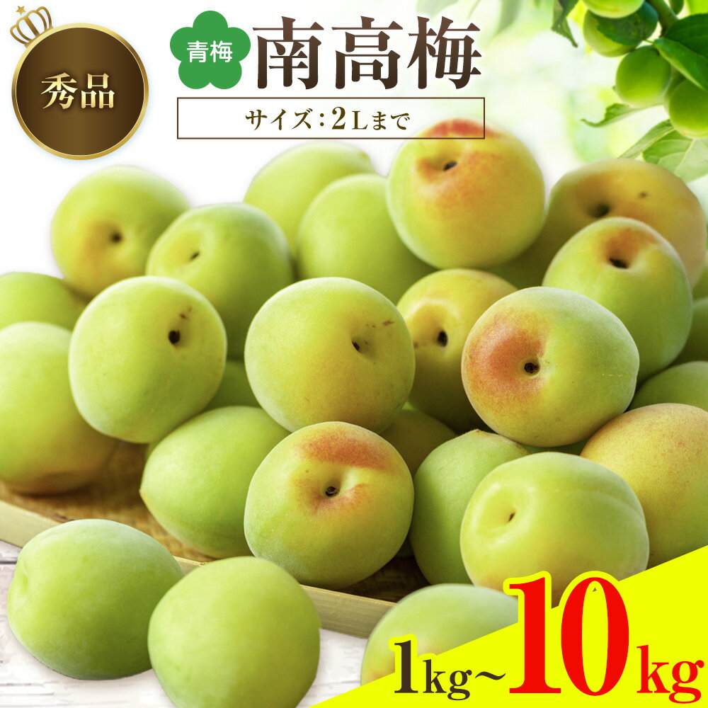 【ふるさと納税】紀州南高梅 秀品(青梅) 2Lサイズまで 選べる容量 1kg ~ 10kg 和歌山県産 株式会社農業福祉研究機構《6月上旬-6月下旬頃出荷》和歌山県 紀の川市 南高梅 青梅 特産 梅ジュース シロップ 梅酒 スムージー