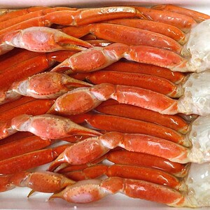 ボイルズワイガニ　２L（化粧箱入り）_【G0697】