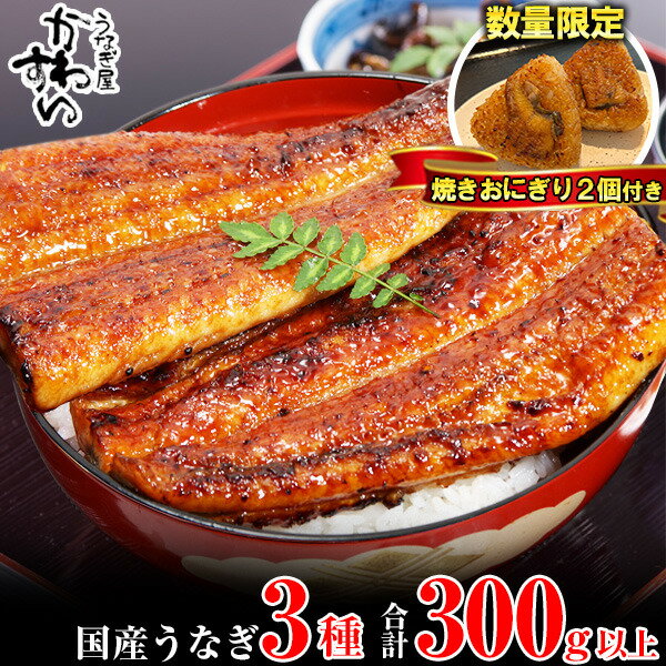 【ふるさと納税】楽天限定。 国産うなぎ蒲焼き3種セット。焼きおにぎり付き(A1005-1)