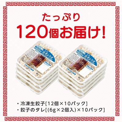 ふるさと納税 坂戸市 【2025年10月中旬発送】冷凍生餃子10パック(120個)　ぎょうざの満洲 |  | 01