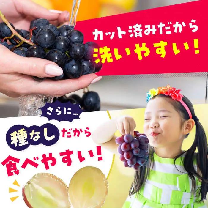 【先行予約 2027年7月下旬より発送】【ご家庭用】種無し巨峰 約350g×4P ぶどう [AFAB086] 果物