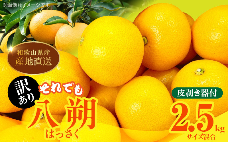 
                  MK1028_訳あり それでも 八朔  (はっさく) 箱込 2.5kg (内容量約 2.3kg) サイズミックス 皮剥き器付 和歌山県産  産地直送
                