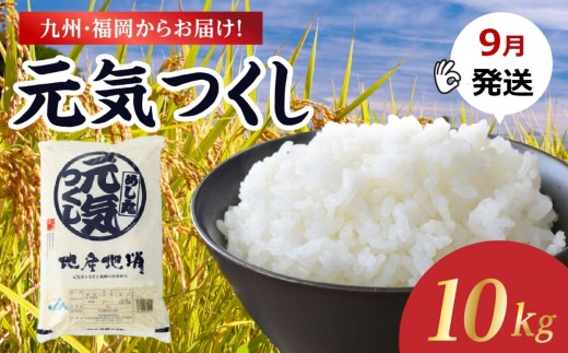 【2026年9月発送】九州・福岡からお届け！ブランド米「元気つくし」 10kg(5kg×2) お米 米 コメ 白米 特A 直送 お弁当 おにぎり 炊きたて ツヤ 粘り もちもち 弾力 卵かけご飯 福岡県 八女市