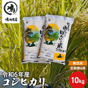 【ふるさと納税】【定期4ヶ月】新米 コシヒカリ 乾式無洗米 10kg（5kg×2）令和6年産　定期便・ お米 銘柄米 ご飯 おにぎり お弁当 和食 食卓 精米 国産 千葉県産 産地直送