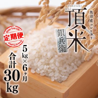 ふるさと納税 十日町市 【毎月定期便】頂米銀兵衛 魚沼産コシヒカリ(精米)5kg 全6回