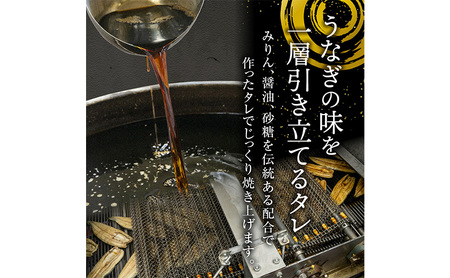 【6か月定期便】浜名湖産うなぎ蒲焼　約140g×2尾入り　計6回 うなぎ ウナギ 鰻 ブランドうなぎ 蒲焼 浜名湖 とろける ふっくら 香ばしい 旨味 肉厚 自家製たれ 二度焼き 静岡 浜松市