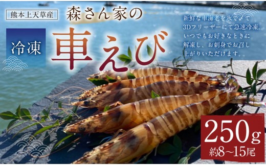森さん家の冷凍車えび 活き〆冷凍車海老250g（約8～15尾）車海老 くるまえび 車えび 国産 天草の海 冷凍 【2027年3月下旬まで順次発送予定】