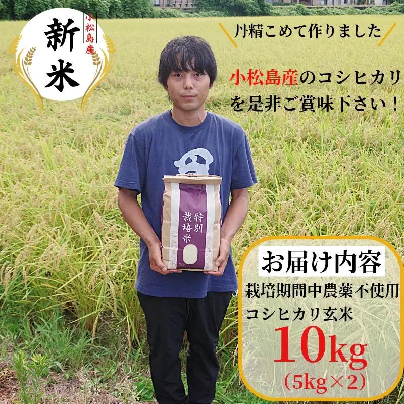 【2026年9月順次発送】 栽培期間中農薬不使用 コシヒカリ玄米 10kg 玄米 米 化学肥料不使用 新米 こめ 健康 ご飯 ダイエット 栄養豊富 ビタミン ミネラル 小松島市