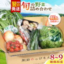 【ふるさと納税】諫早産野菜の詰め合わせ 8〜9品目程度 / 季節 旬 野菜 やさい 春野菜 夏野菜 秋野菜 野菜セット 詰め合わせ / 諫早市 / 肥前グローカル株式会社 [AHDI004]