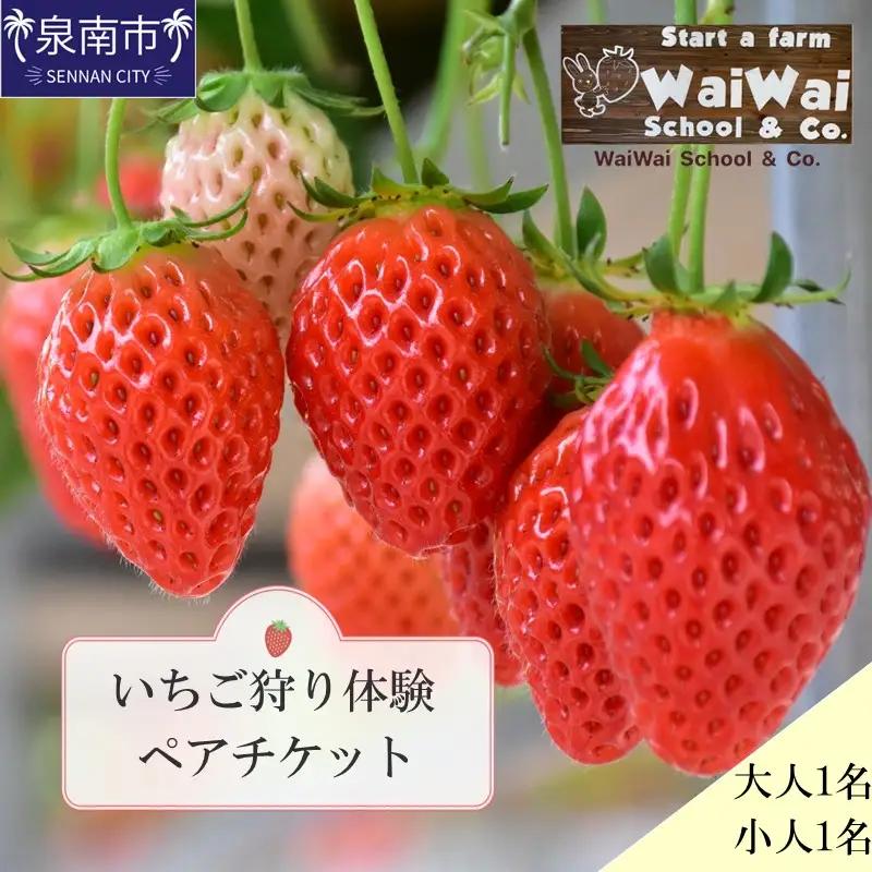 いちご狩り体験ペアチケット（大人1名・小人1名）【ふるさと納税3.0】【117D-004】