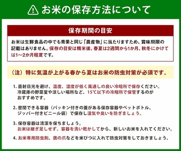 【新米受付・令和7年産米】新潟県村上市　岩船産コシヒカリ6kg（2kg×３袋）　1103001N