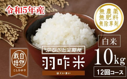 
[A208] 【定期便】【無農薬】【白米】能登のこだわり自然栽培こしひかり『羽咋米』 10kg×12回コース
