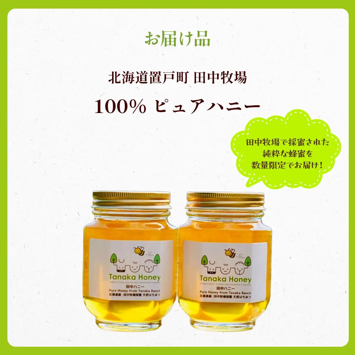 【数量限定】100%ピュア田中ハニー OTH003