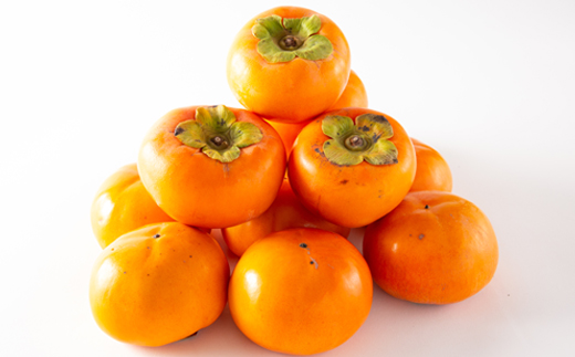 和歌山県産　美濃農園の富有柿　ご家庭用　12個(2Lサイズ程度)【配送不可地域：離島・北海道・沖縄県】