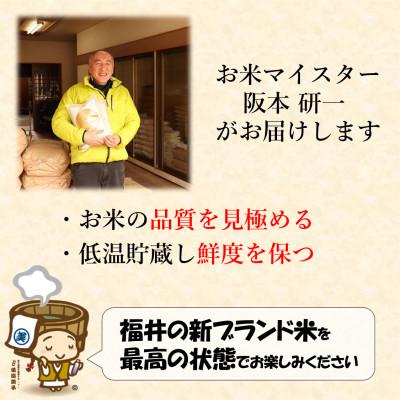 ふるさと納税 あわら市 【令和6年産】いちほまれ 無洗米 5kg×2袋 |  | 02