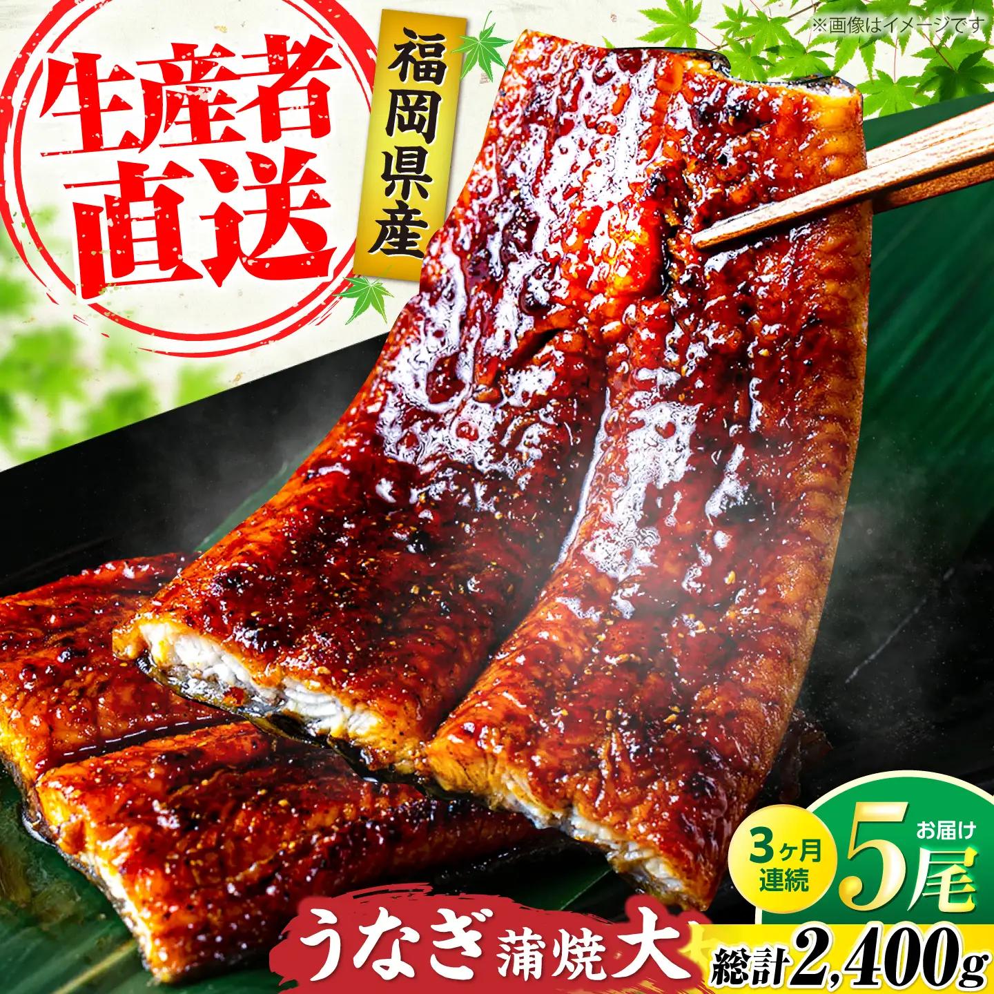 【全3回定期便】福岡県産 うなぎ 蒲焼 大5尾 VAD017 うなぎ