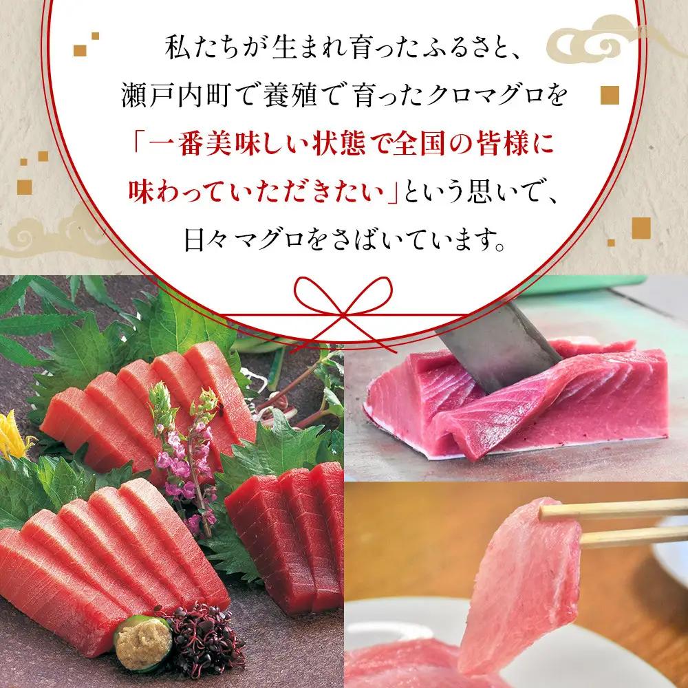 クロマグロ 黒マグロ 3柵セット 750g以上 大トロ 中トロ 赤身 冷凍 奄美大島産養殖