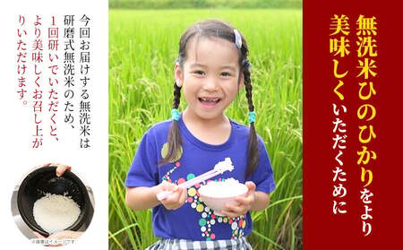 【令和7年産】岡山県産 ひのひかり 5kg 太陽の恵み 白米 奥山営農《10月下旬頃出荷》岡山県 笠岡市 送料無料 米 お米 こめ