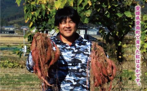 訳あり 紅はるか 5kg サイズミックス サツマイモ 焼き芋 干し芋 丸干し 冷凍焼き芋 冷やし焼き芋 やきいも 蜜芋 ほしいも スイートポテト フライドポテト いも天 熟成 べにはるか さつまいも