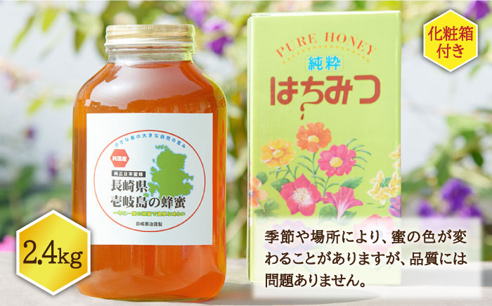 ニホンミツバチ 生蜂蜜 2,400g（化粧箱付き） 《壱岐市》【憲ちゃんハチミツ】[JCL005] ハチミツ 蜂蜜 日本蜜蜂 ギフト プレゼント 贈り物 化粧箱 118000 118000円