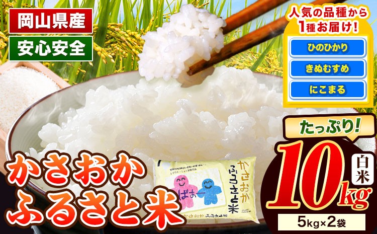 
            米 令和6年産 7年産 10kg ふるさと米 備中笠岡 人気品種をお届け！ 【選べる出荷時期】国産 ヒノヒカリ にこまる きぬむすめ お米 ブランド米 ふっくら ハリ おにぎり 弁当 単一原料米 検査済み お取り寄せ 送料無料 岡山県産 st-p
          