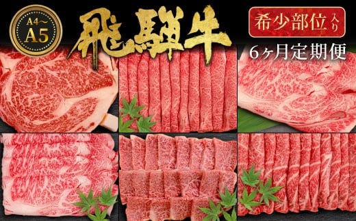 
            飛騨牛 希少部位 定期便 全6回 計1.86kg 2人前相当 すき焼き しゃぶしゃぶ ステーキ 焼肉 BBQ リブロース ランプ イチボ とも三角 ミスジ リブロースステーキ 贅沢 贈り物 6ヶ月 定期 おすすめ レア 人気 飛騨 ブランド牛 牛肉 肉 肉のひぐち
          