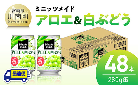 【最速便】コカ・コーラ ミニッツメイド「アロエ&白ぶどう」280g缶 48本（24本×2ケース） 【 飲料 アロエ 白ぶどう 果汁 長期保存 】 [C11132-ss]