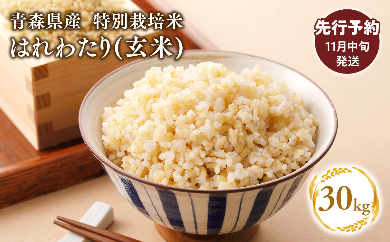 
                  ≪令和8年産 先行予約≫2月上旬よりお届け! 　特別栽培米 はれわたり玄米30kg(10㎏×3袋)【青森県 平川市】先行予約 米 お米 玄米 青森県産 産地直送 おにぎり 朝ご飯 冷めてもおいしい ご飯  コメ こめ 白米 ごはん ブランド米 特A 特A米 お取り寄せ グルメ
                