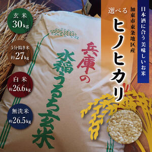《令和7年産》日本酒に合う ヒノヒカリ 玄米 30kg【5分搗き米約27kg】