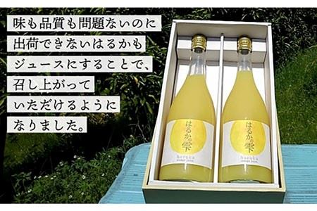 【ギフト可】【糖度15度前後】はるかの雫（720ml×2本）長与町/岩永農園 [EAZ001]
