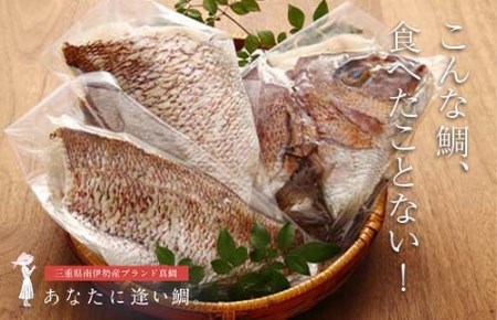 南伊勢町産 真鯛 3枚おろし 贅沢 真鯛 