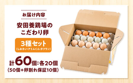 安田養鶏場の卵 3種セット しおさい アトムくん タフラン 60個入り（各20個入り） 横須賀市 産地直送 割れ保証付き たまご 黄身 濃厚 卵 玉子 タマゴ 鶏卵 【安田養鶏場】[AKHN007]