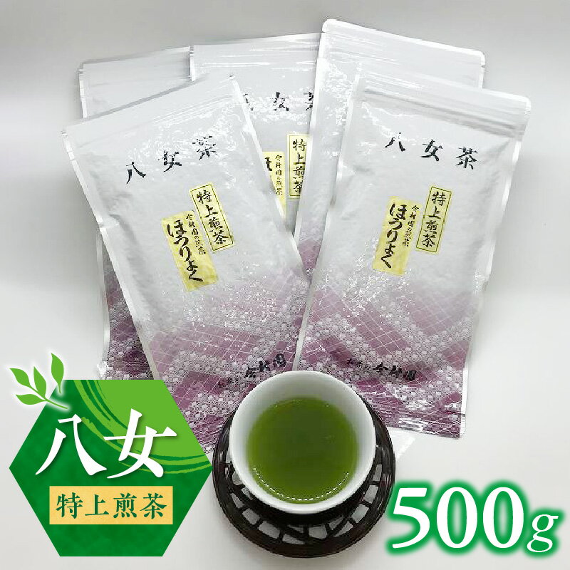 【ふるさと納税】八女 特上煎茶 計 500g 100g × 5 ほうりょく 深蒸し 八女茶 煎茶 国産 濃厚 真空パック 特上 新鮮 香り 九州産 お茶 ご当地茶 日本茶 緑茶 カテキン 抗菌 デトックス リラックス 疲労回復 口臭予防 ミネラル ビタミン お取り寄せ 福岡県 久留米市 送料無料