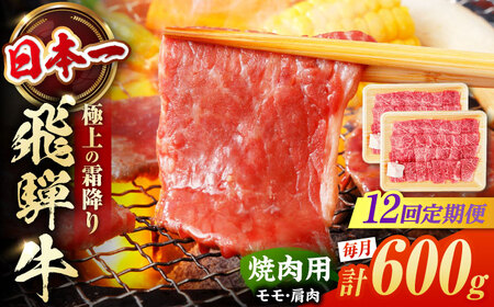 【12回定期便】 飛騨牛 焼肉用 赤身 600g（300g×2） / 白川町 / 浅井商店[AWBJ014]