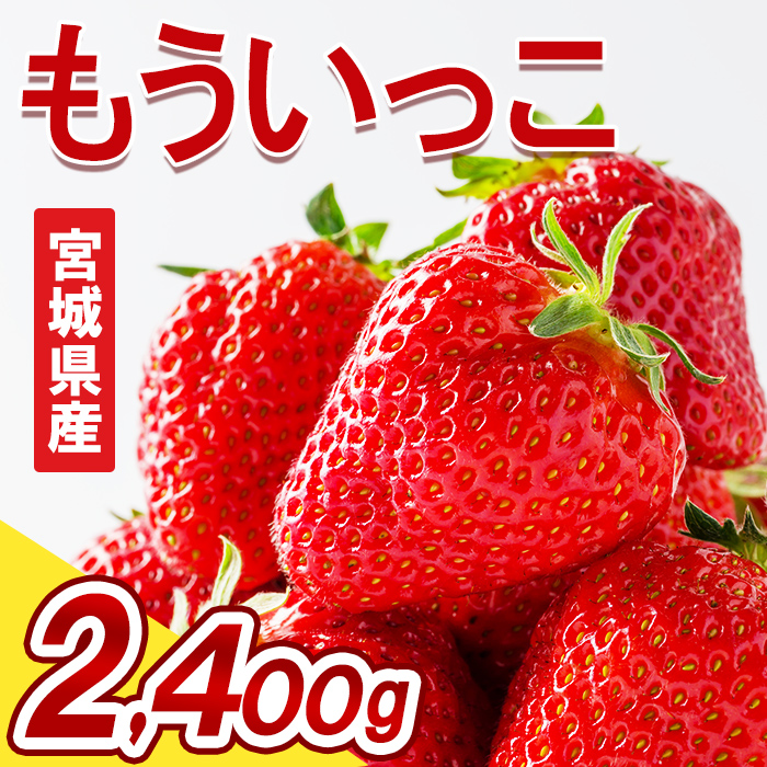 ≪先行予約受付中！≫宮城県登米市産いちご もういっこ 2.4kg（8パック） フルーツ 果物 果実 デザート くだもの いちご イチゴ 苺 ストロベリー 甘い パック 【いちごファームやなぎぶち】tm