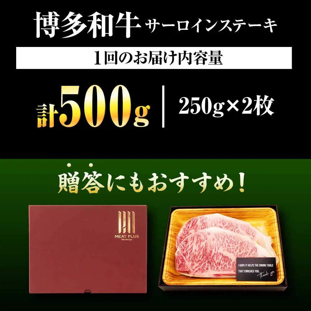 【全6回定期便】【A4-A5】博多和牛 サーロインステーキ 500g(250g×2枚) [BGAB113]