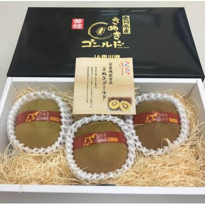 ふるさと納税 さぬき市 【発送月固定定期便】さぬき市厳選フルーツ定期便全4回 |  | 02