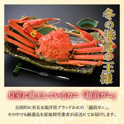 ふるさと納税 小浜市 【先行予約】加福鮮魚「若狭小浜港産地直送」　越前ガニ(ズワイガニ)ボイル1杯 |  | 01