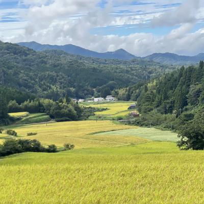 ふるさと納税 松江市 令和7年産 プレミアム仁多米(こしひかり)なおらい米 真空パック 2kg×3袋(合計6kg)松江市 |  | 03