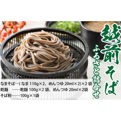 ふるさと納税 福井市 【2025年8月下旬発送】越前そばふるさと詰合せ 合計6食 | 