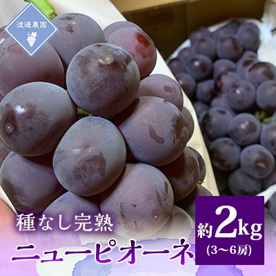
                  【先行予約 2026年発送】岡山県産　種なし完熟 ニューピオーネ　3房～6房(合計約2kg)_ニューピオーネ ぶどう 葡萄 ブドウ 種なし 大粒 甘い 果物 くだもの フルーツ 岡山県 津山市 ギフト プレゼント 産地直送 送料無料【1562279】
                