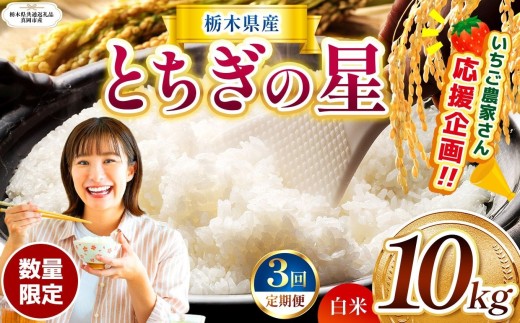 【栃木県共通返礼品】【先行予約】【定期3回】 訳あり 数量 限定 定期便 令和8年度産 とちぎの星 約 10kg| とちぎの星 白米 ごはん おいしい 品種 お米 米 おにぎり ふるさと納税 那珂川町 栃木県