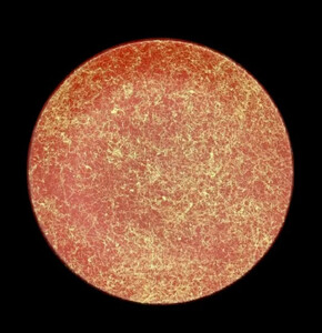 フラットプレート(D) 乱糸(マット仕上げ)本朱