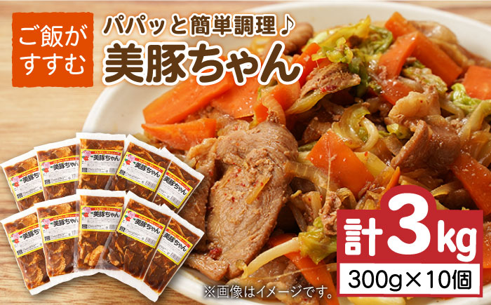 美豚ちゃん300g×10個セット【長崎フードサービス】 [PEL013]