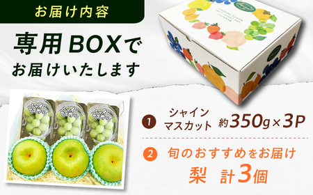 【★先行予約★　8月下旬発送開始】フルーツ詰合せ（シャインマスカット3パック＆梨3個）　広川町 / JAふくおか八女農産物直売所どろや[AFAB088]