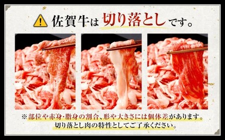 博多和牛 ステーキ （サーロイン） 4枚 （計約1kg） ＋ 佐賀牛 切り落とし 400g ／ 黒毛和牛 黒毛和種 和牛 牛肉 お肉 肉 サーロイン肉 セット 国産 九州 福岡県 太宰府市 冷凍